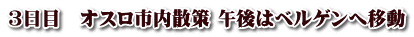 ３日目　オスロ市内散策 午後はベルゲンへ移動